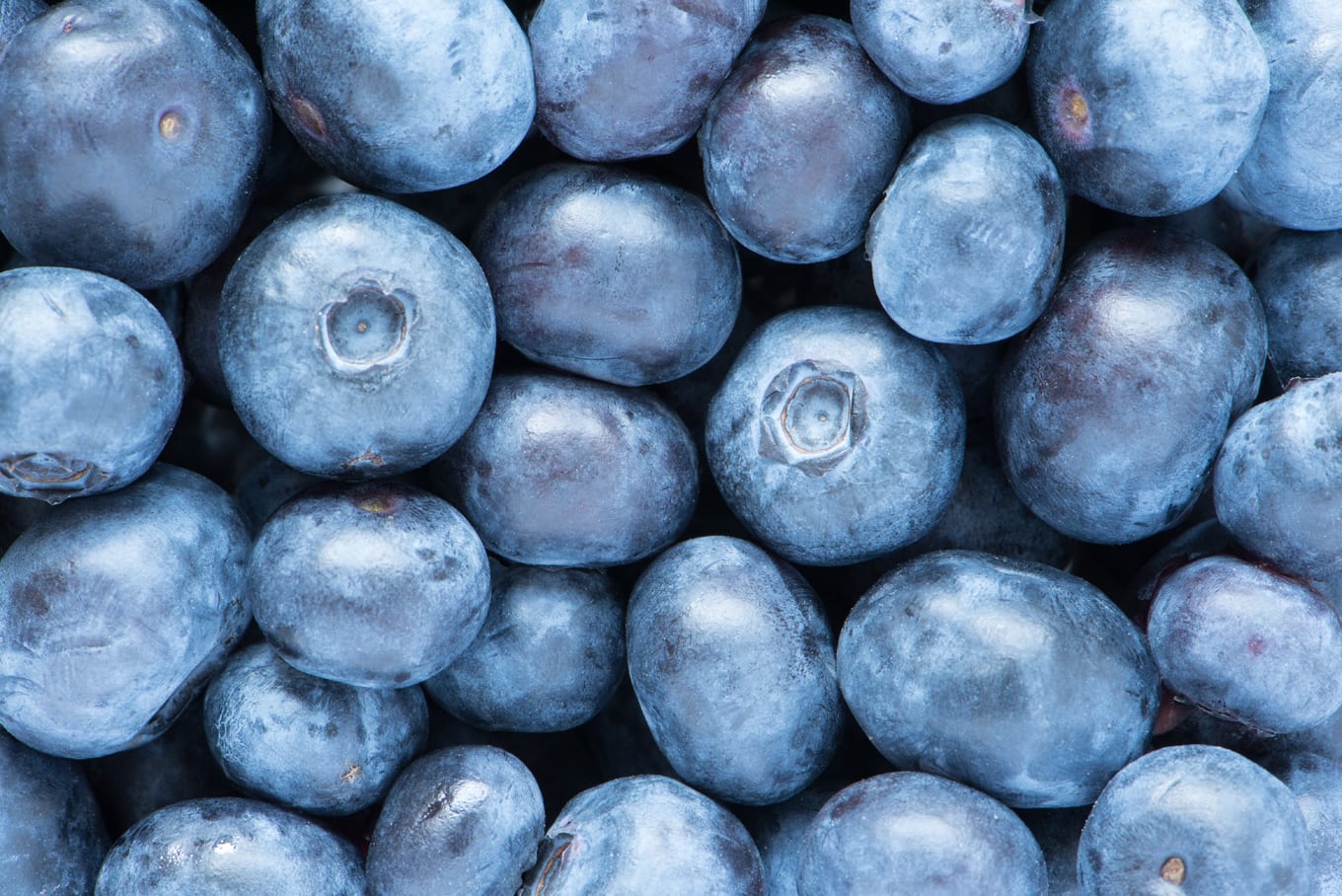 antioxidant-containing blueberries