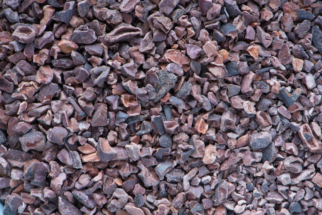 antioxidant containing cacao nibs