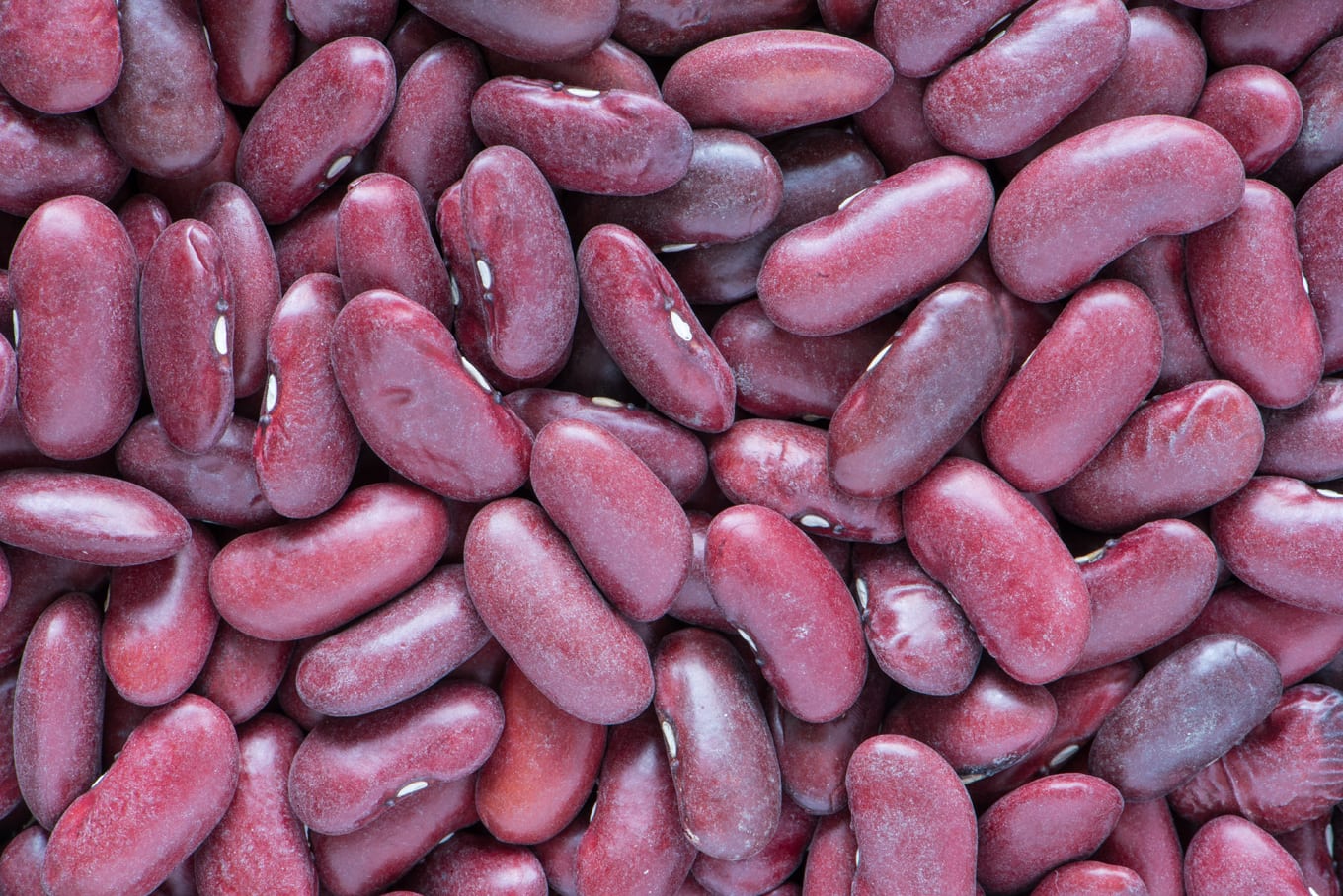 antioxidant-containing kidney beans