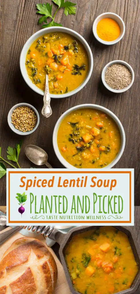 Spiced Red Lentil Soup with Sweet Potato - Planted and Picked