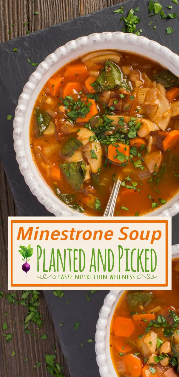 minestrone soup in bowl