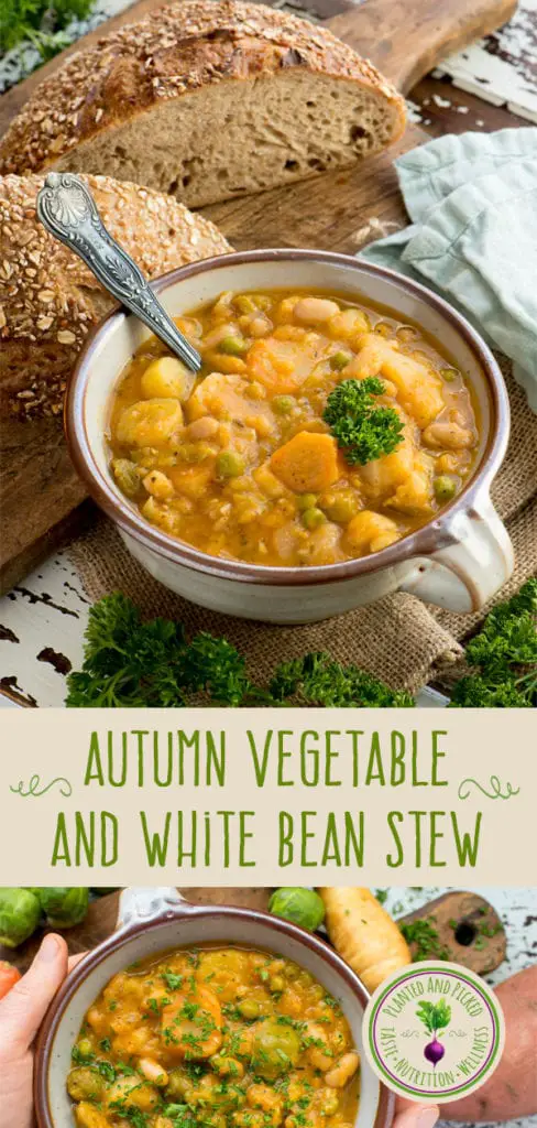 autumn vegetable stew in bowls - pinterest post