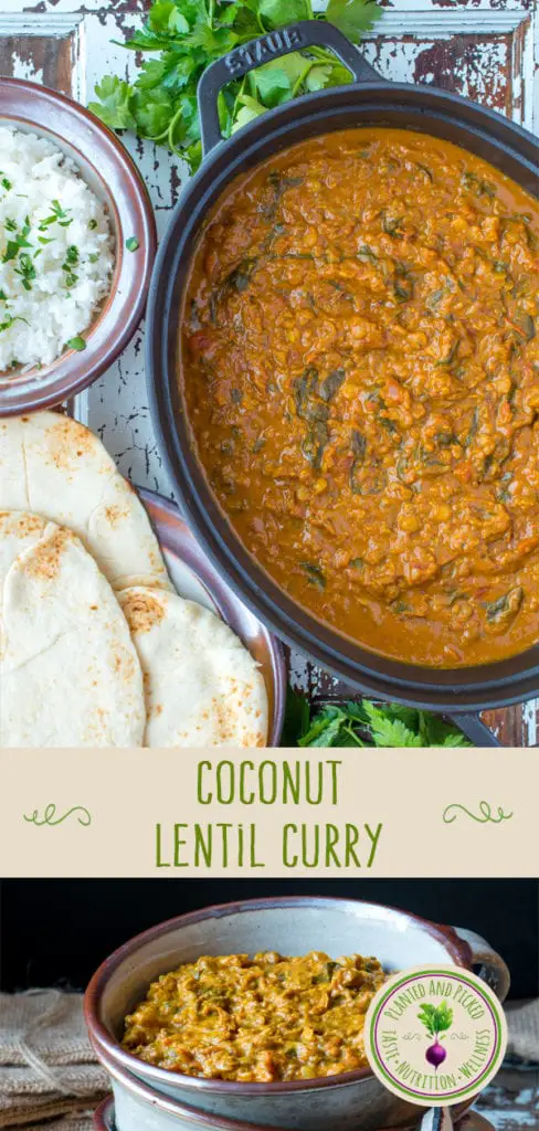 coconut lentil curry in pot and bowl - pinterest image