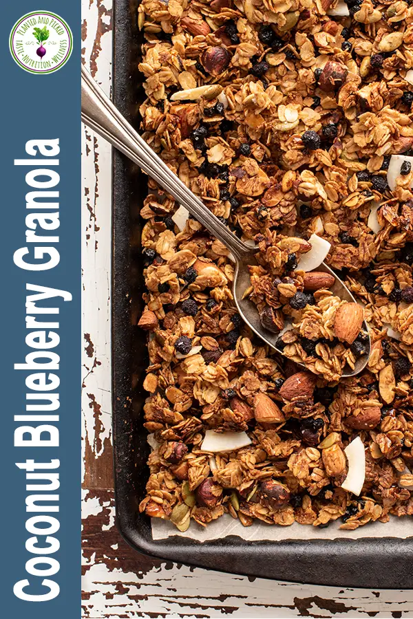 coconut blueberry granola on baking sheet - pinterest image