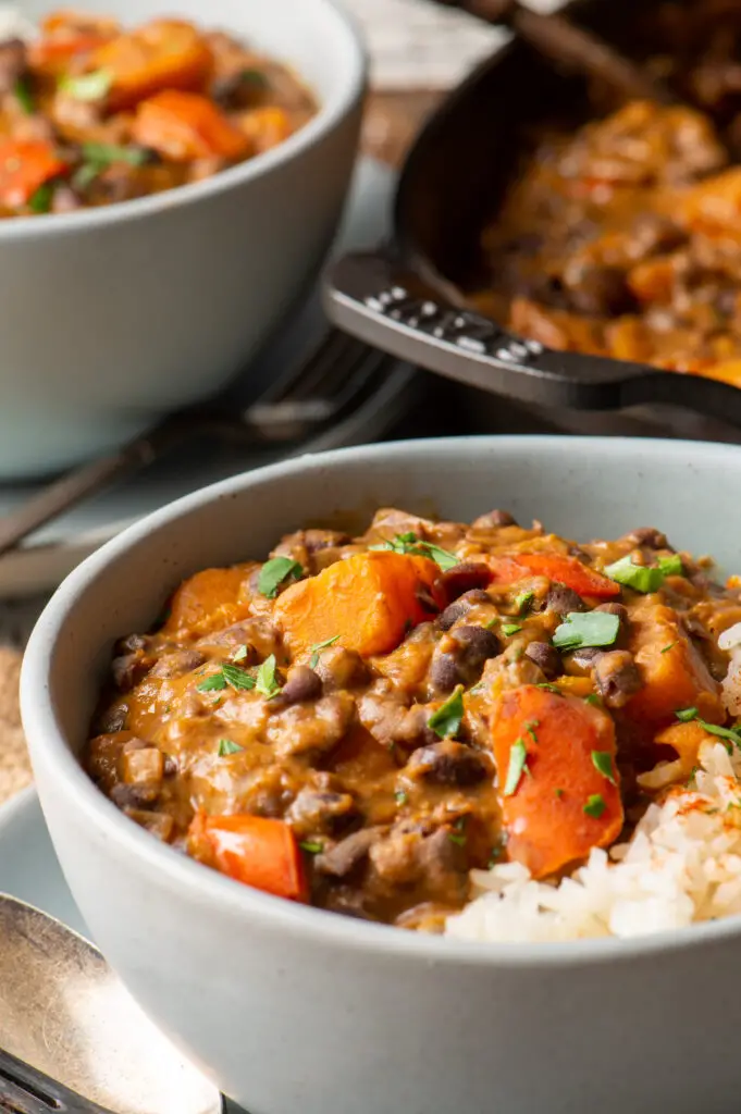 stew with rice in pottery bowl