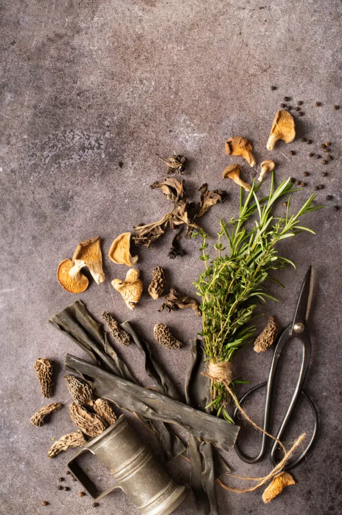 herbs, dried mushrooms and combo lying on grey table